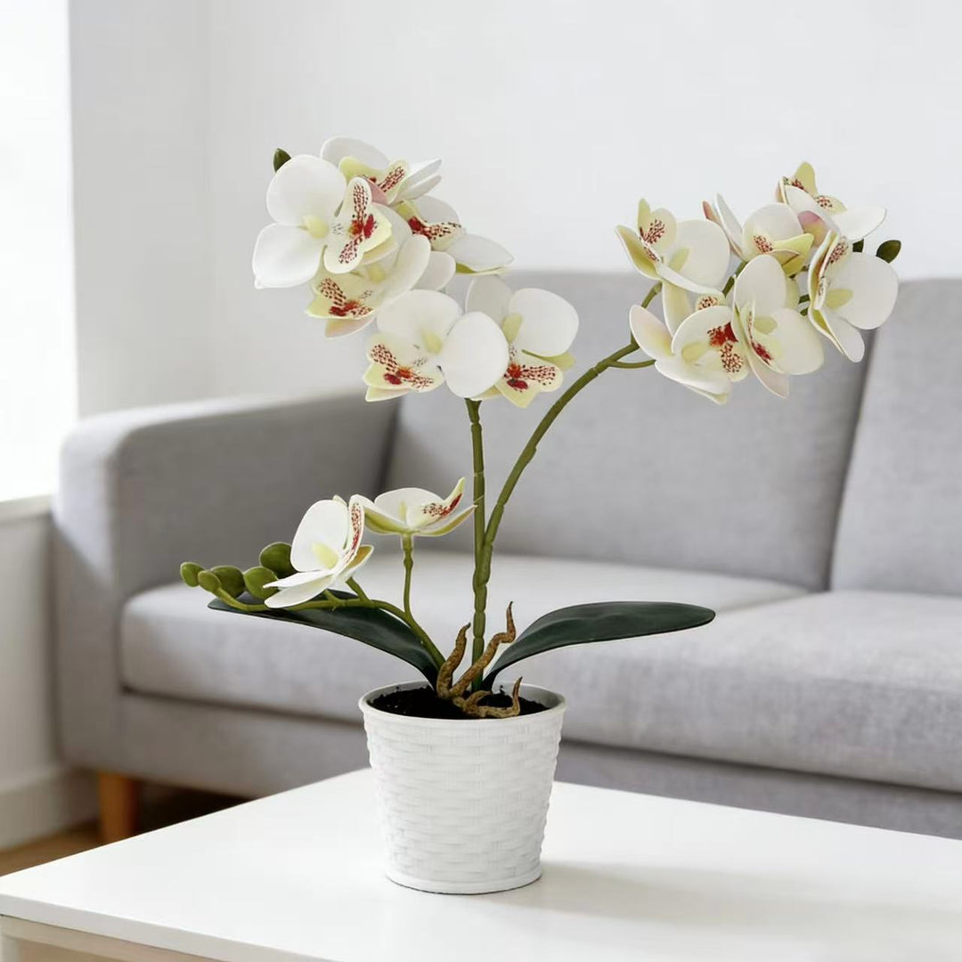 Elegant Faux Orchid Plant