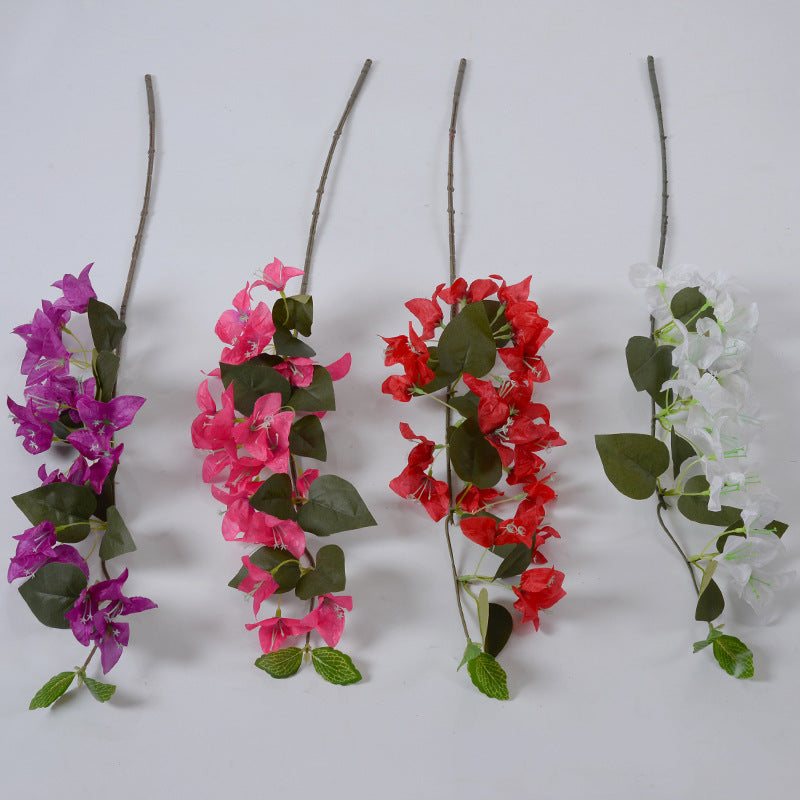 Decorative Bougainvillea Floral Vine