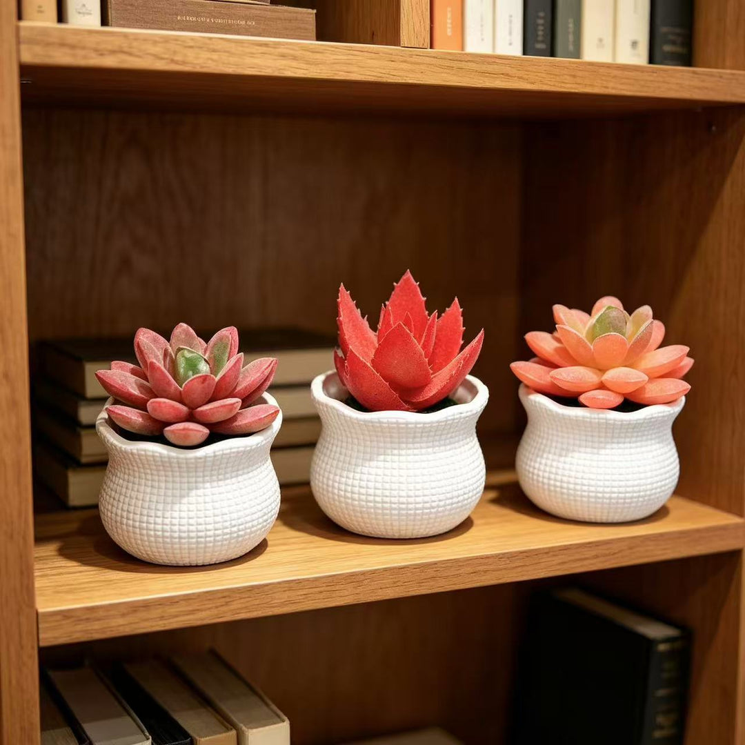 Decorative Faux Cactus Arrangement