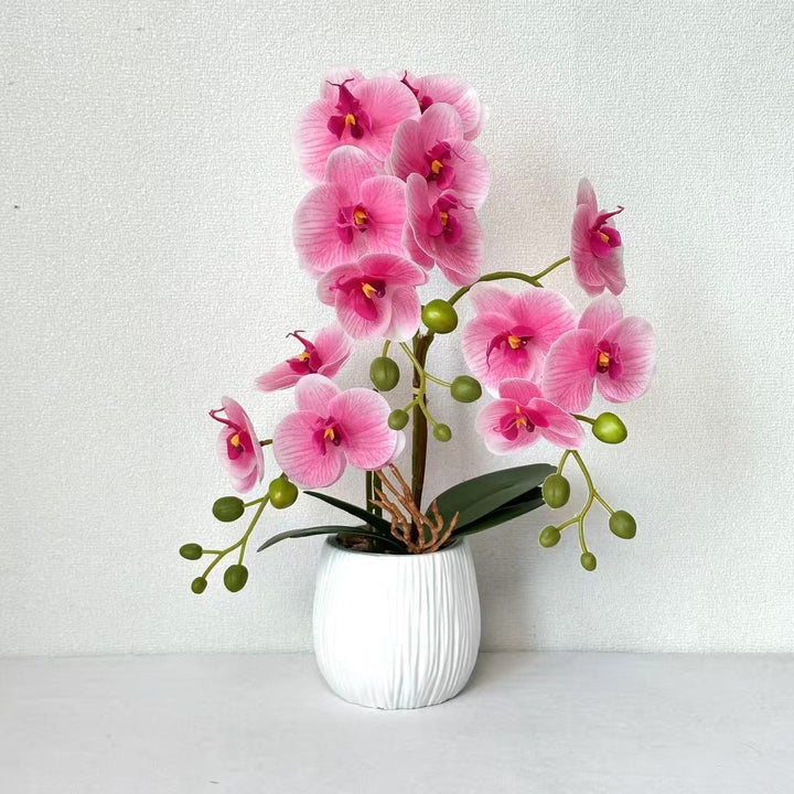 Realistic Orchid Floral Arrangement