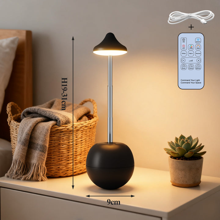 Modern Adjustable LED Desk Lamp