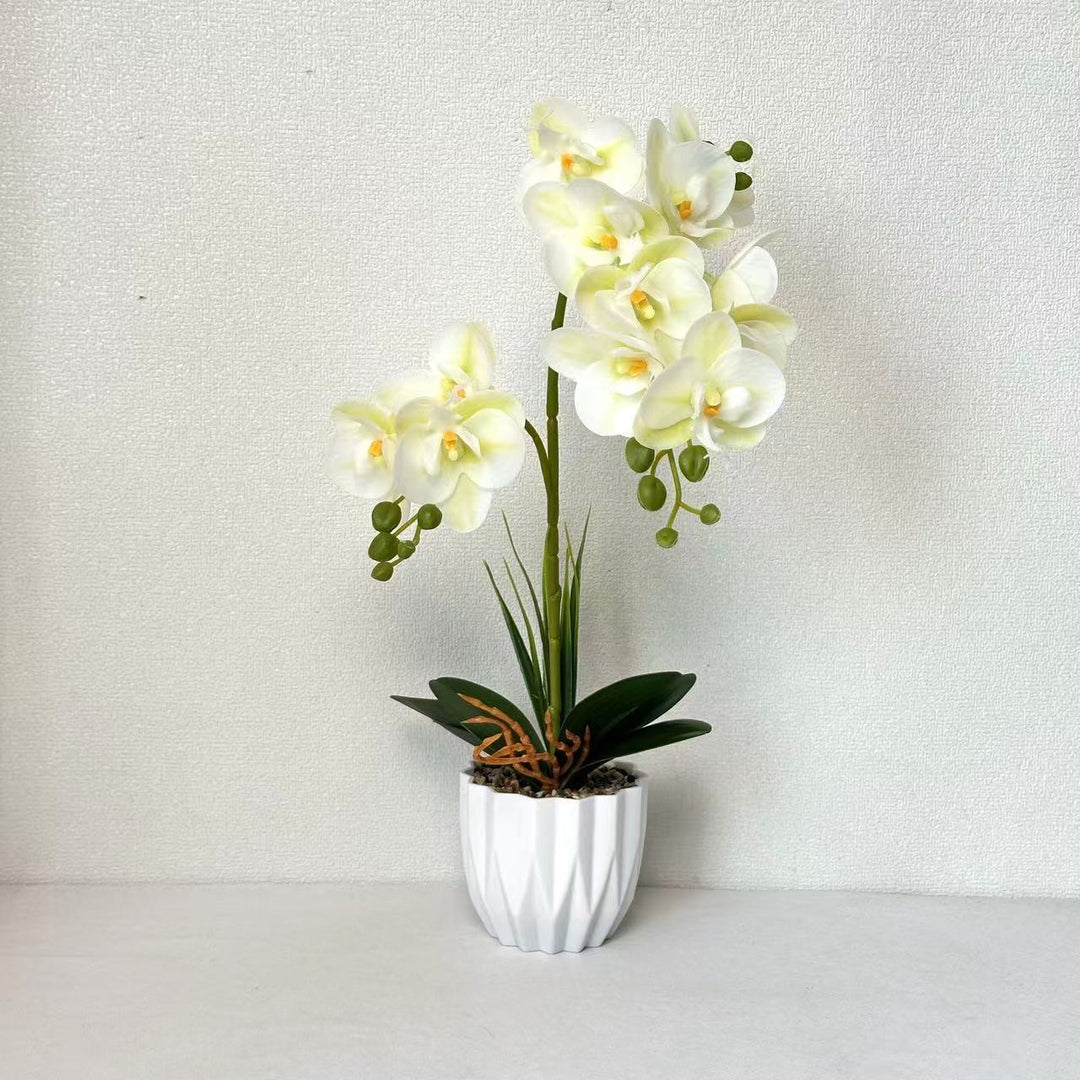 Lifelike Orchid Decorative Plant