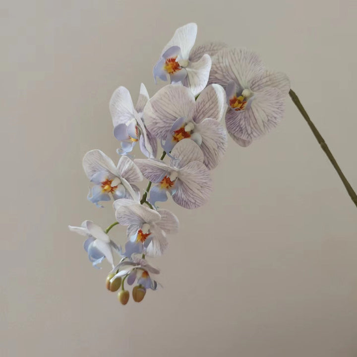 Lifelike Orchid Floral Stem