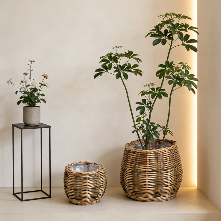 Handcrafted basket with natural flair Stornfield