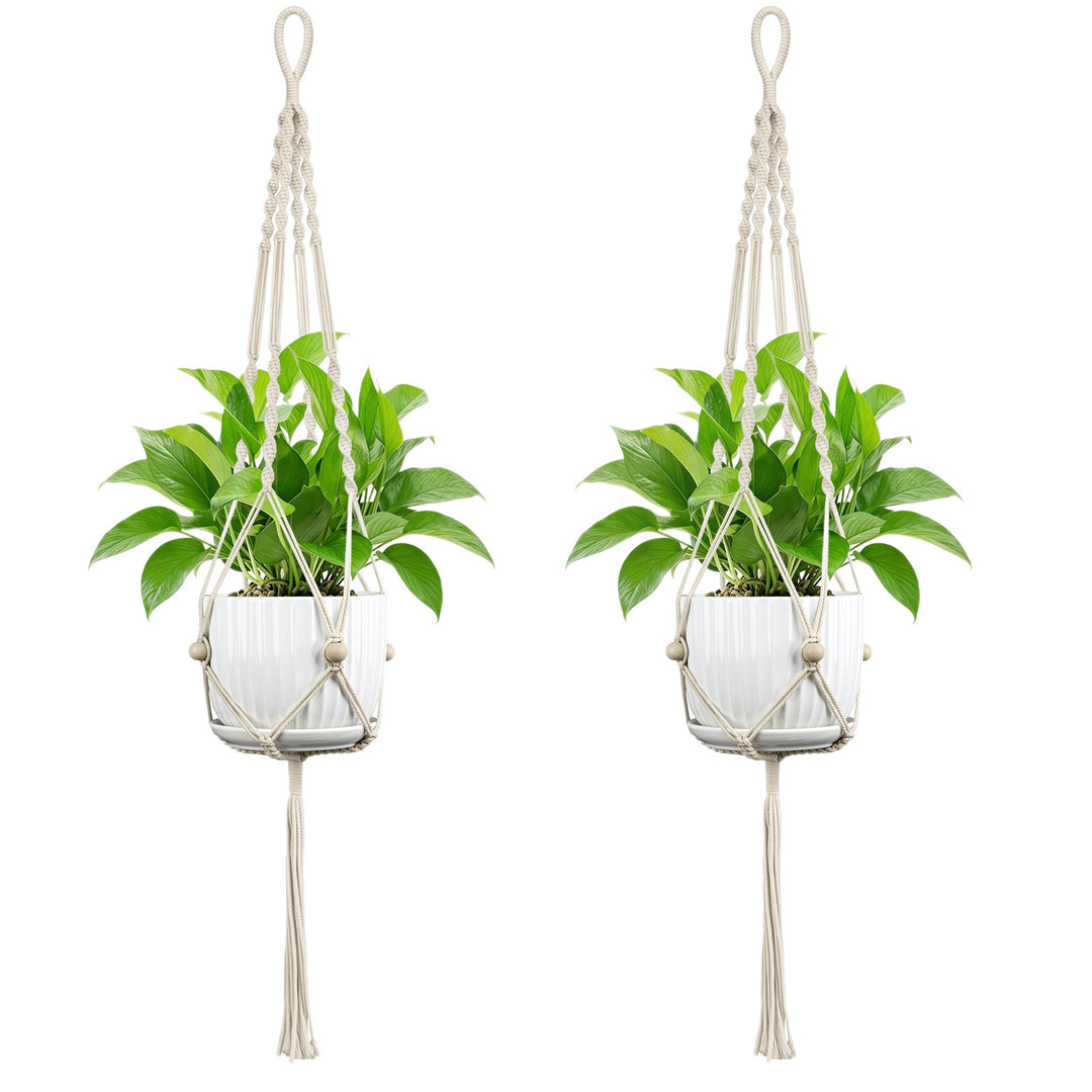 Plant Hanging Pot Stornfield