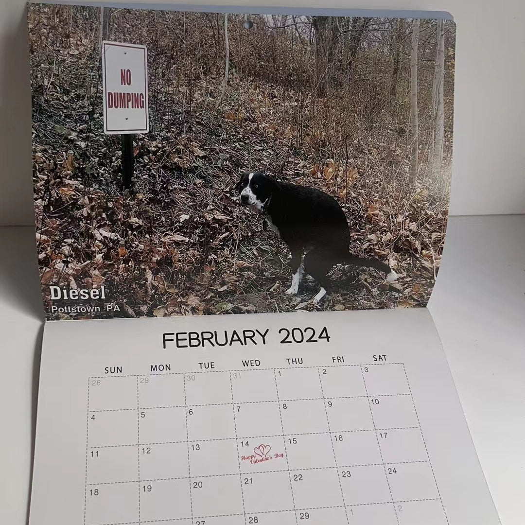 Funniest Calendar-Dogs Pooping in Beautiful Places | "Artistic Expression" of Furry Friends | Stornfield