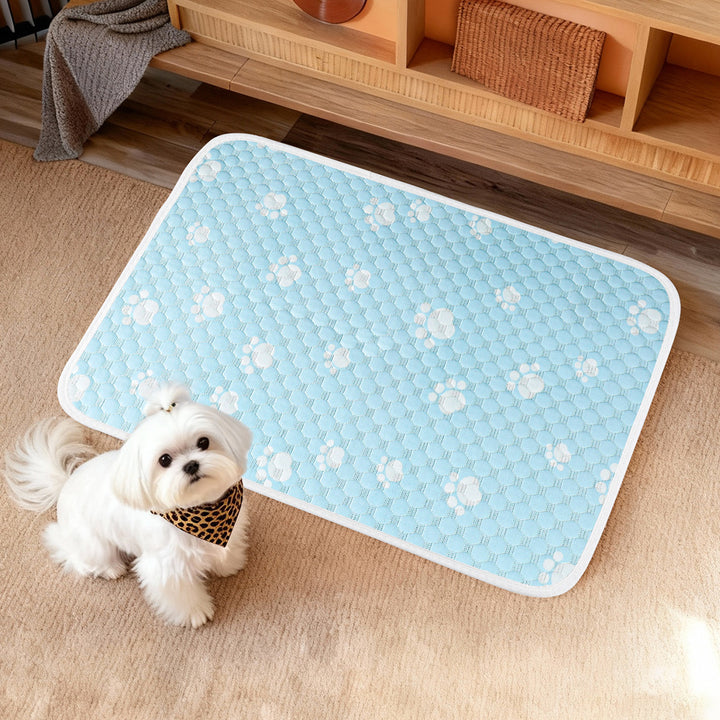 Women Hygienic and Non-Slip Pet Mat Stornfield