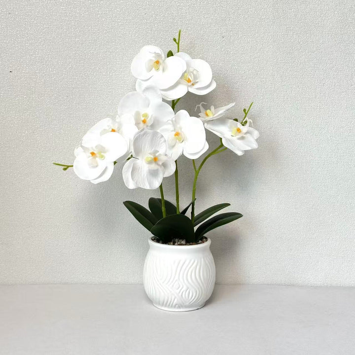 Elegant Orchid Floral Display