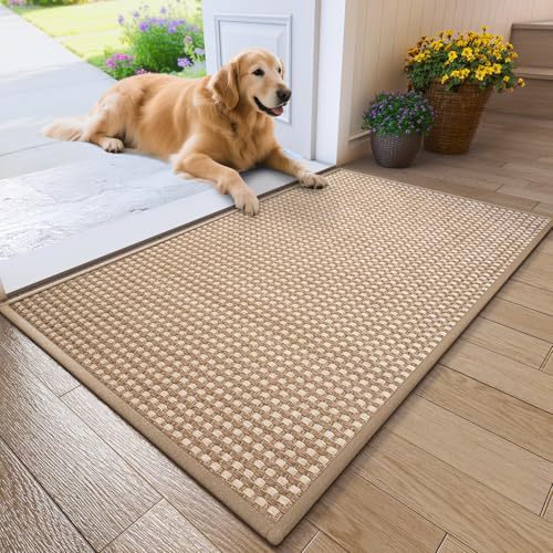 Textured Non-Slip Indoor Pet Mat