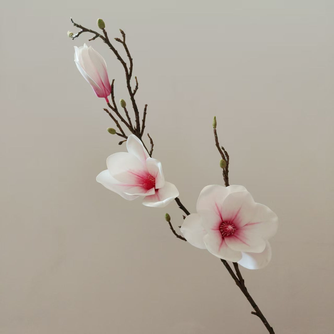 Elegant Magnolia Blossom Stem