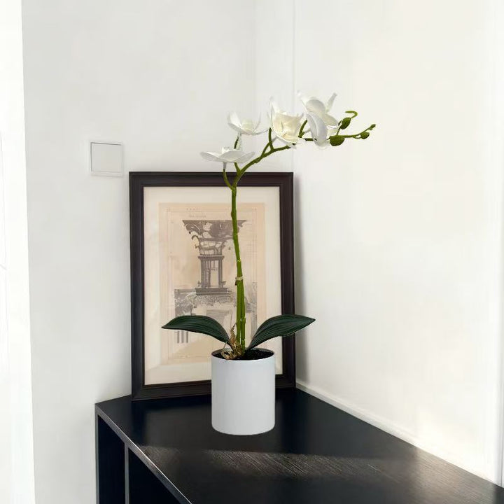 Realistic Artificial Orchid Stem