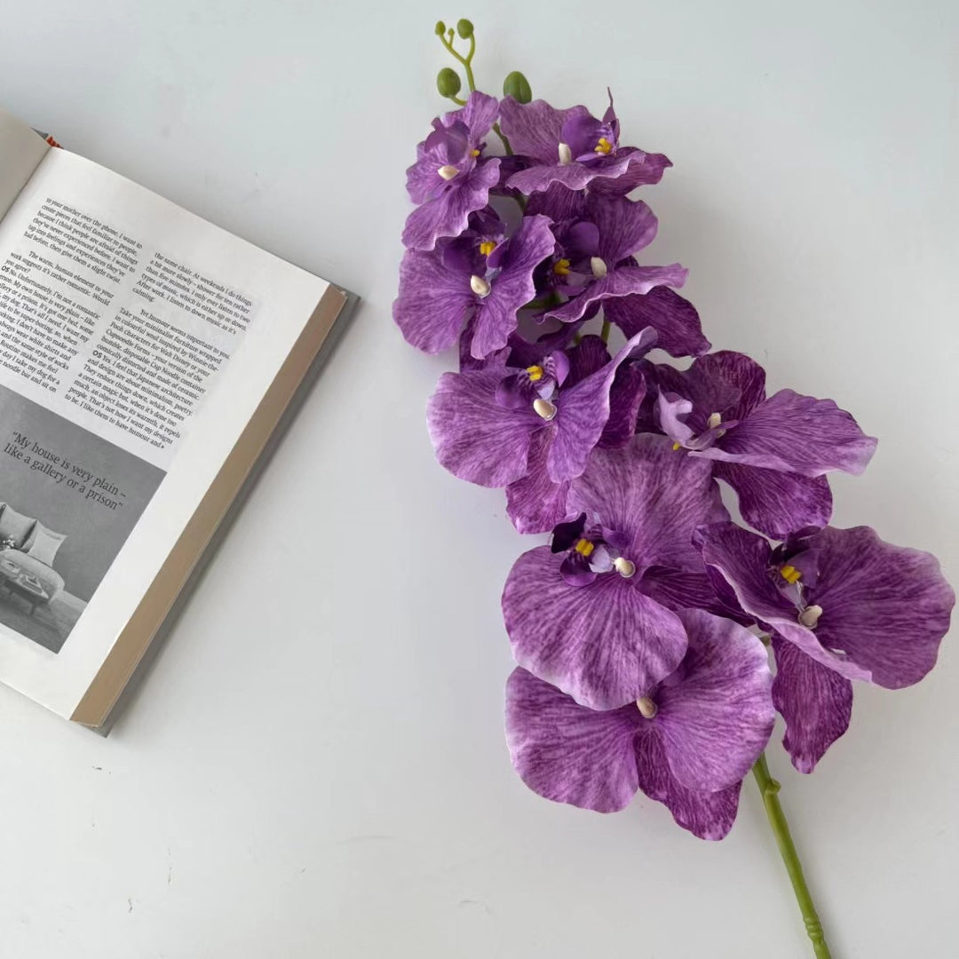 Realistic Orchid Floral Stem