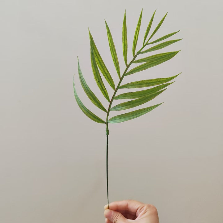 Tropical Palm Leaf Stem