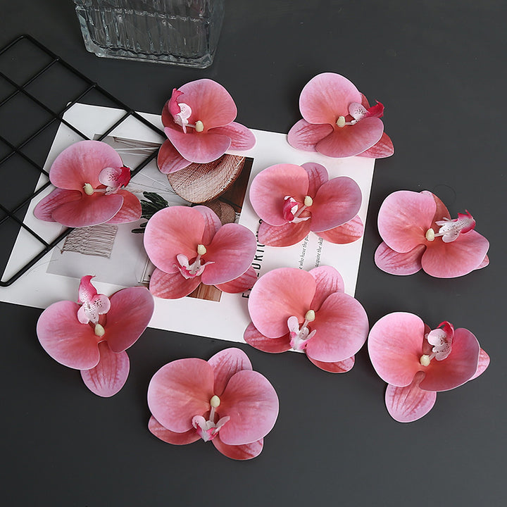 Decorative Orchid Petal for Home Decor Display