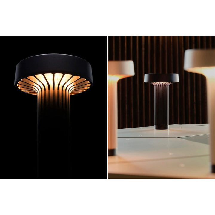 Contemporary Decorative Table Lamp