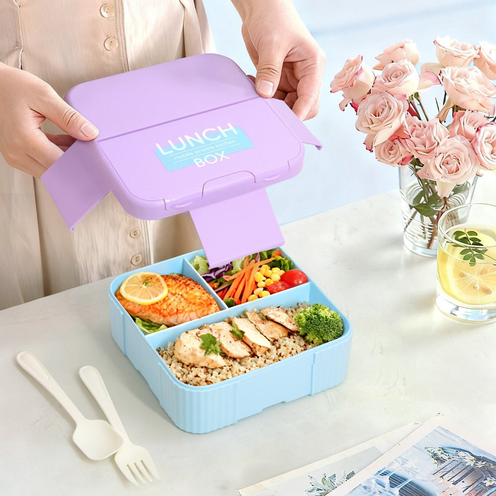 Portable Multi-Section Lunch Box