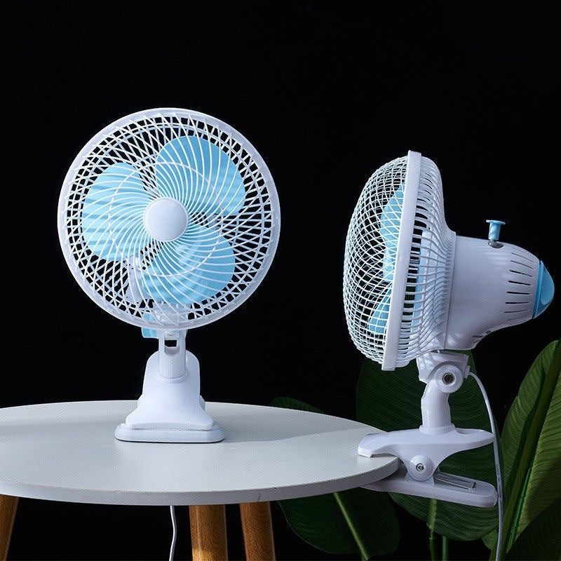 Fan Stornfield