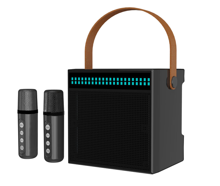 Portable Karaoke System with Dual Microphones Stornfield