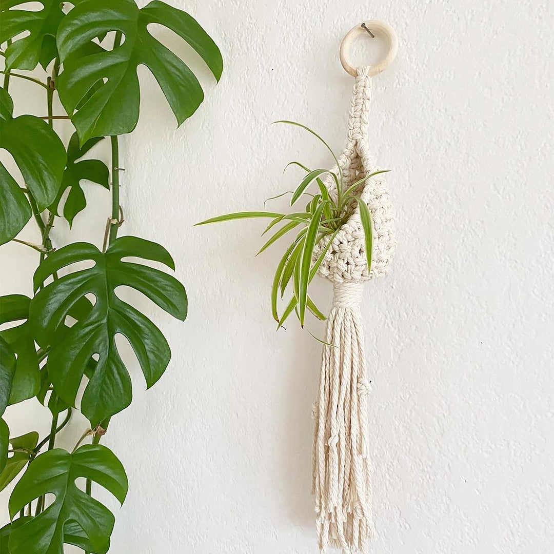 Bohemian Plant Holder Stornfield