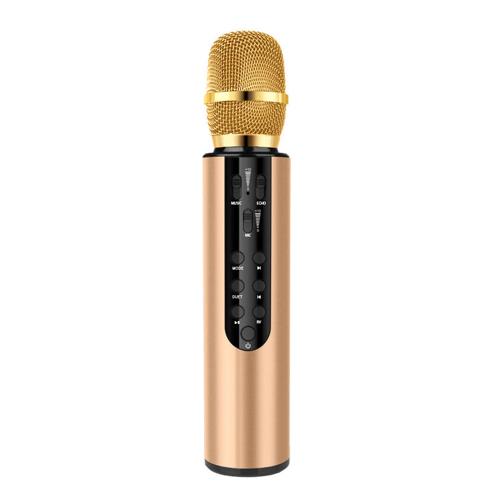 Wireless Karaoke Microphone with Echo Control Stornfield