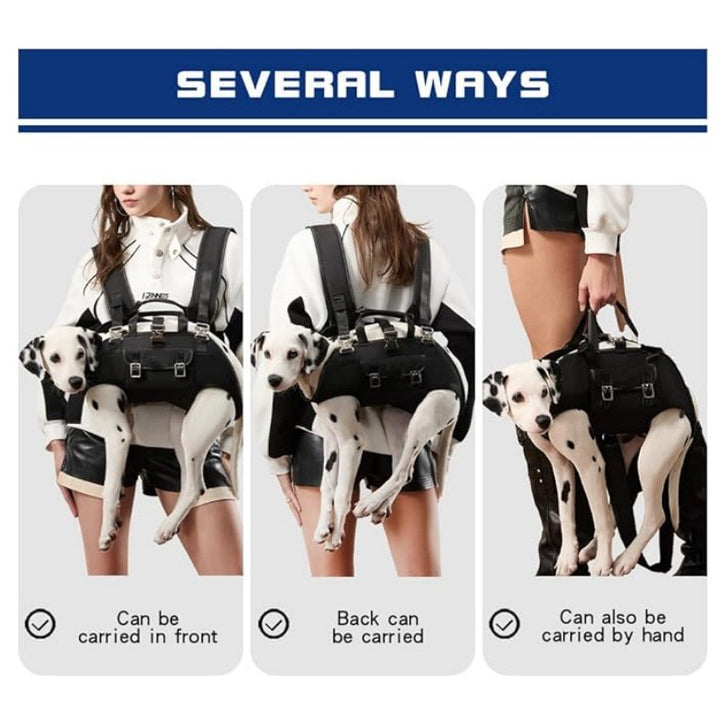 Harness for Small Dogs Stornfield