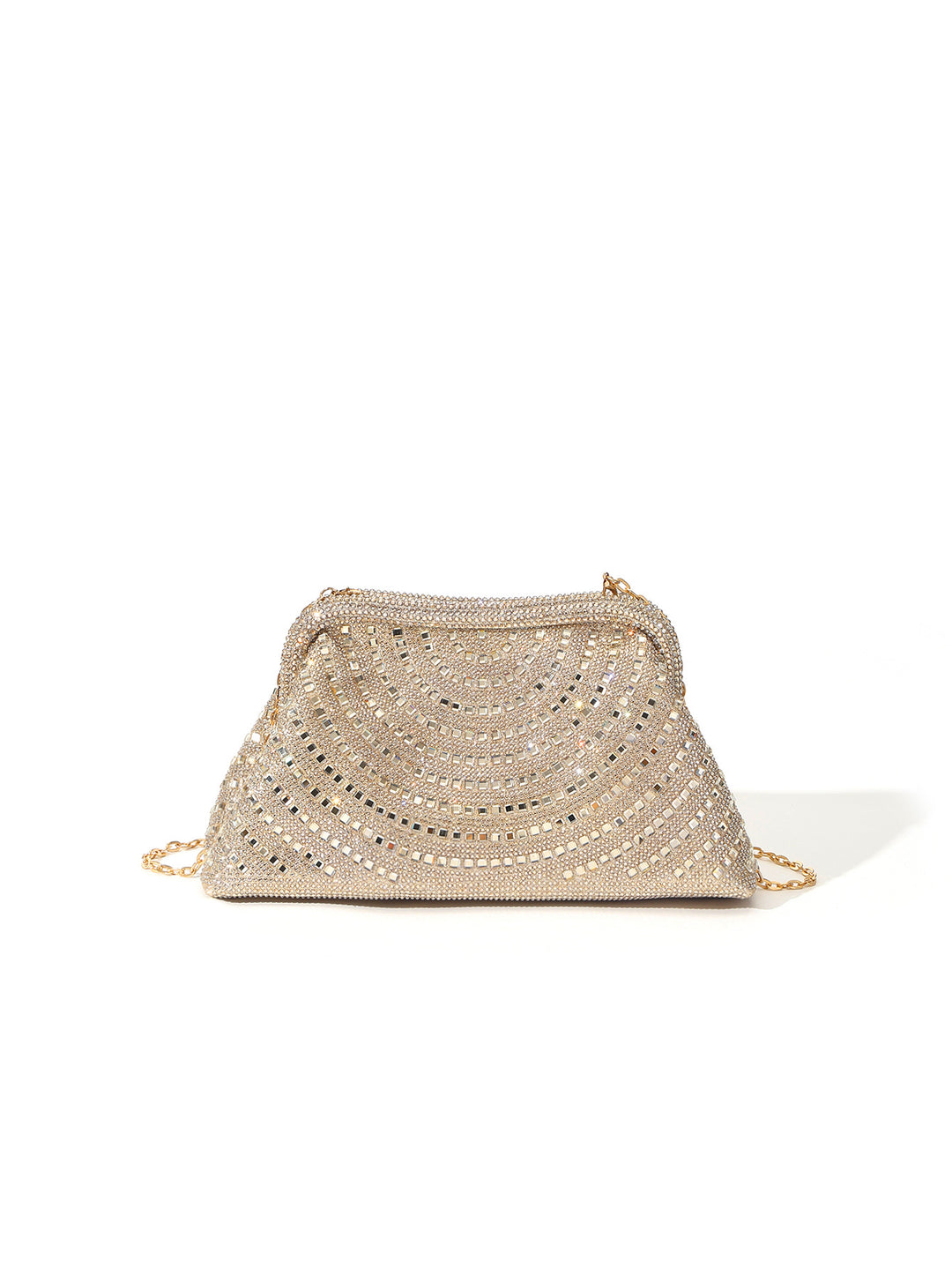Elegant Evening Clutch
