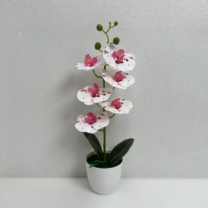 Premium Faux Orchid Plant Arrangement