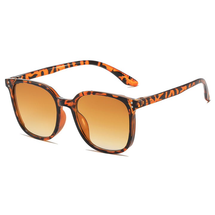 Vintage-Inspired Transparent Frame Sunglasses Stornfield