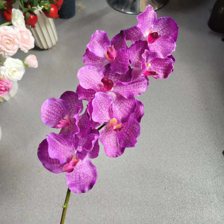 Realistic Orchid Stem