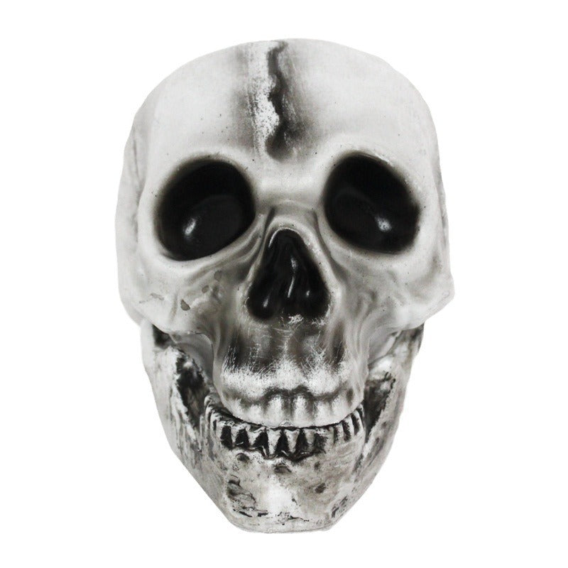 Decorative Halloween Skull and Pumpkin Set Stornfield