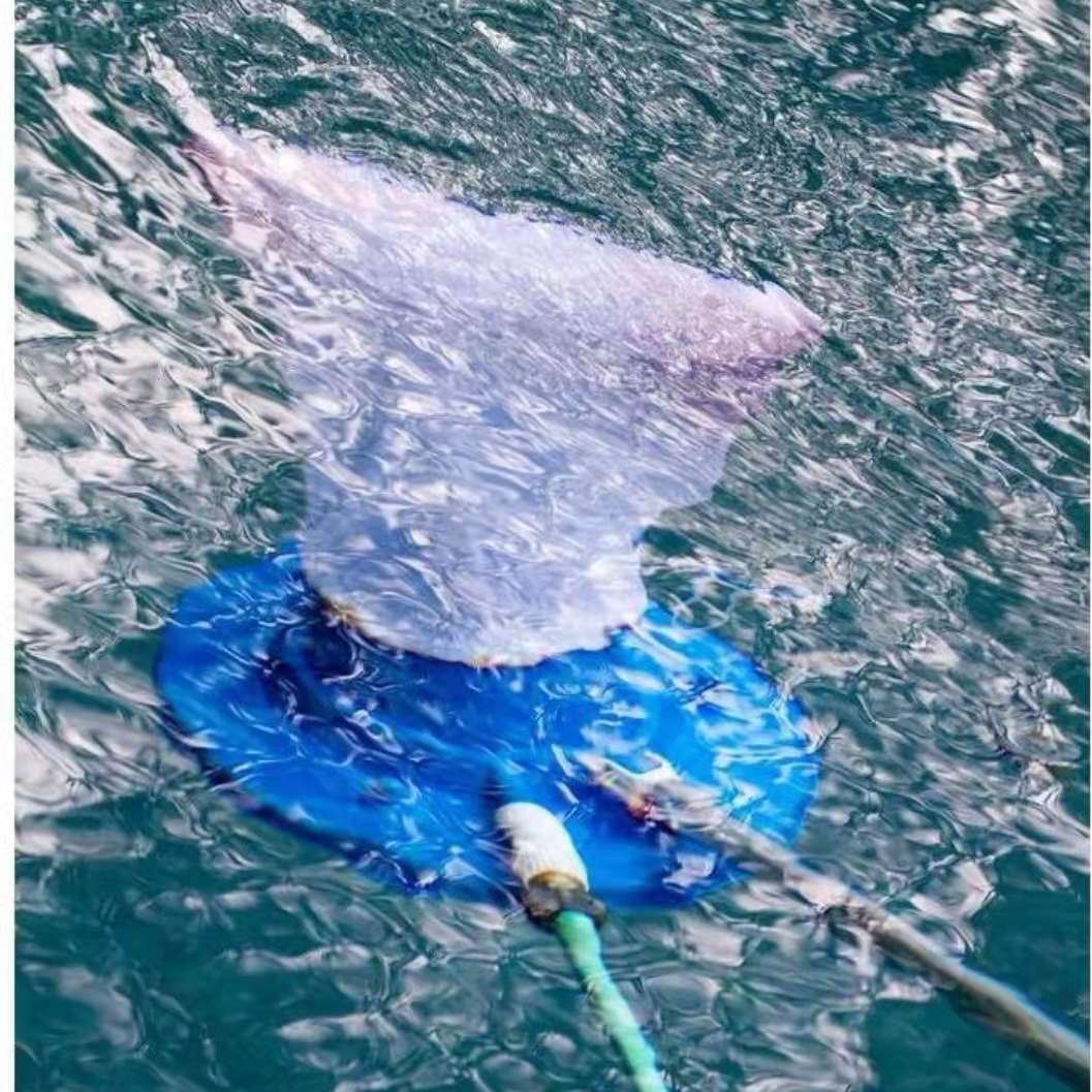 Automatic suction pool leaf vacuum bag with reusable fine mesh and universal hose connector Stornfield