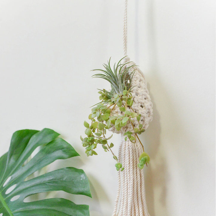 Macrame Hanging Plant Holder with Decorative Tassel Stornfield