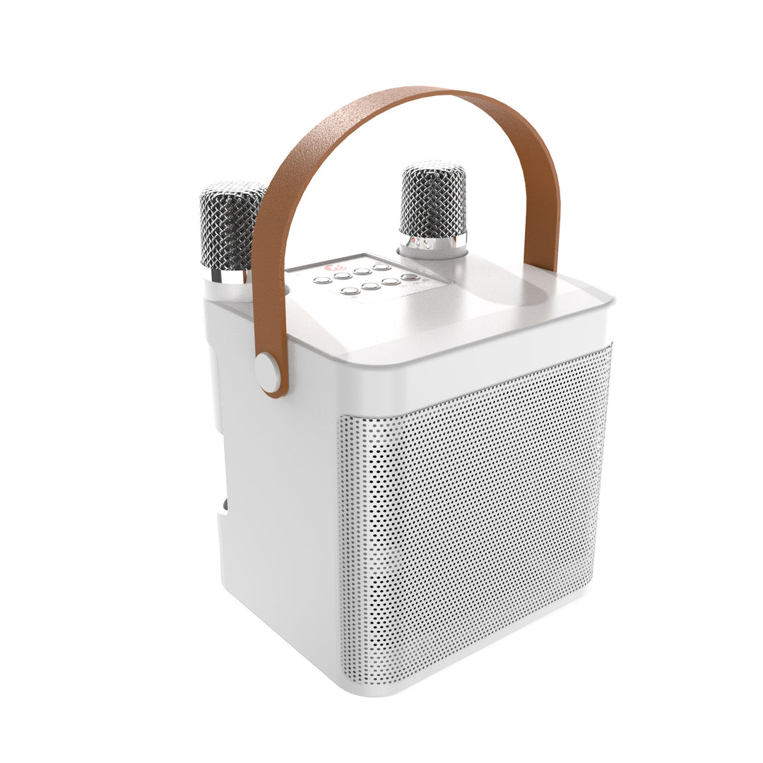 Wireless Karaoke Sound System Stornfield