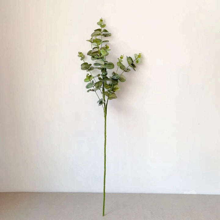 Decorative Eucalyptus Stem