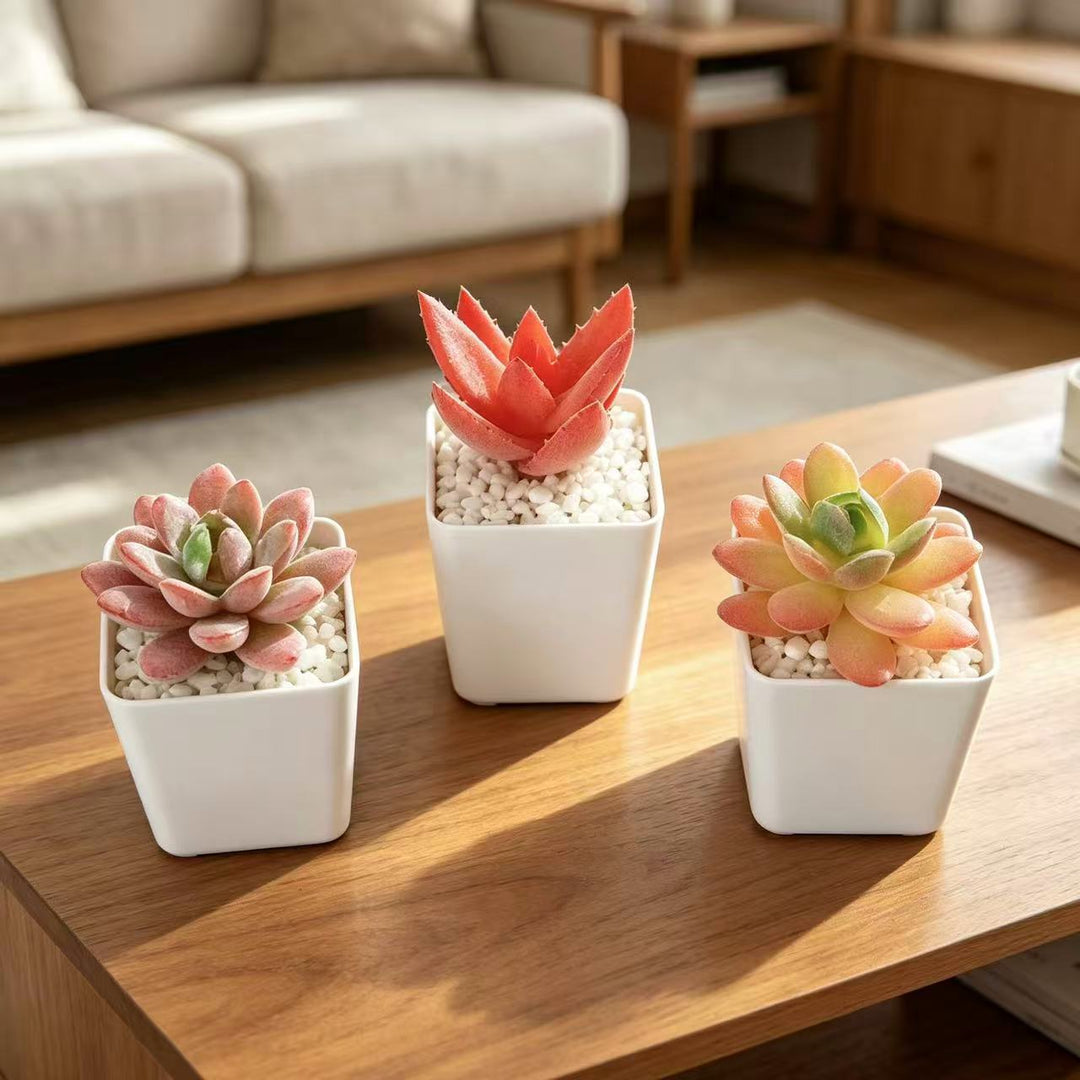 Artificial Orchid Floral Display for Home Decor