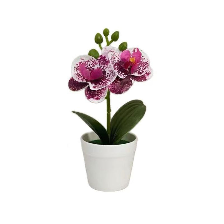 Artificial Orchid Plant for Decorative Home Display and Styling