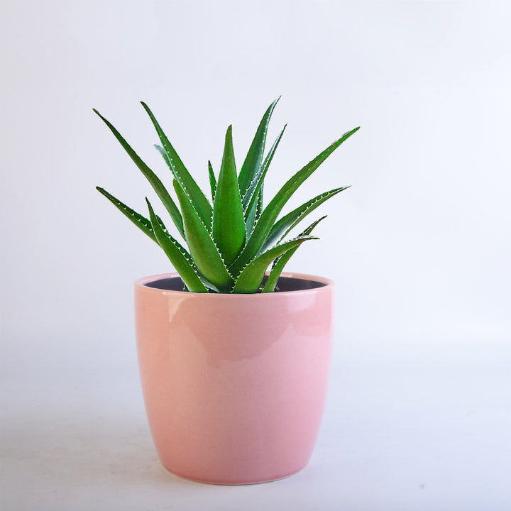 Flower Pot Set Stornfield