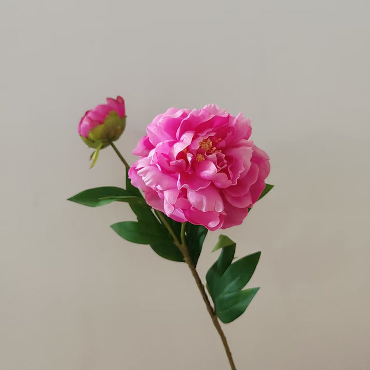 Premium Artificial Peony Stem