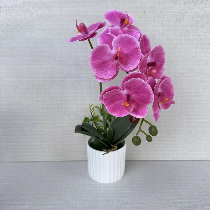 Realistic Faux Orchid Plant Arrangement