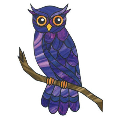 Colorful Owl Decorative Wall Art