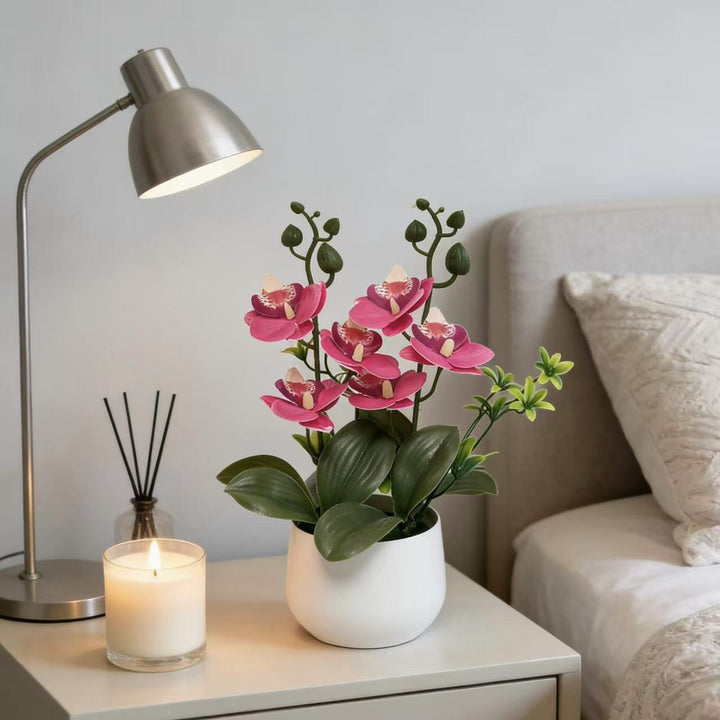 Orchid Floral Arrangement