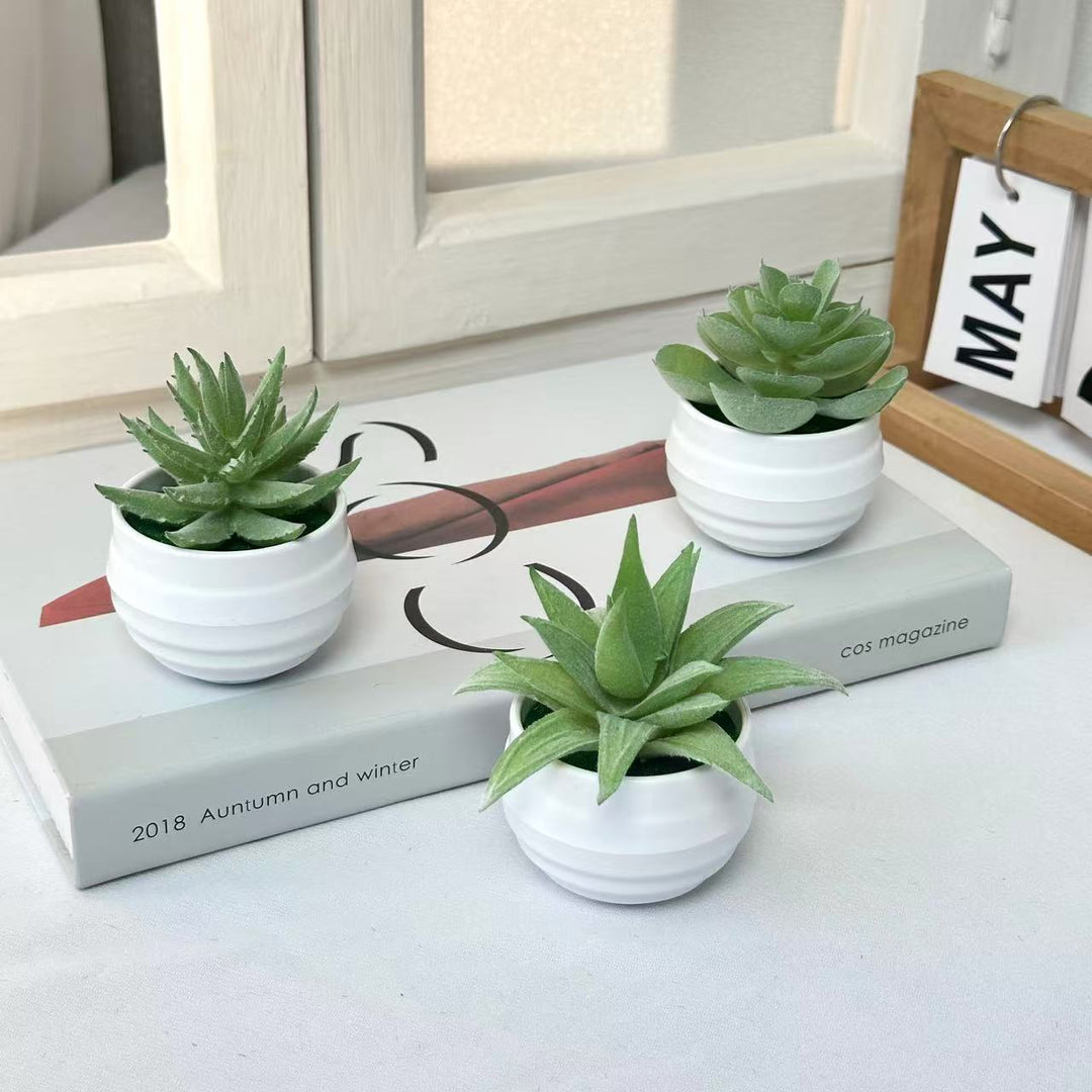 Lifelike Potted Succulent Plant