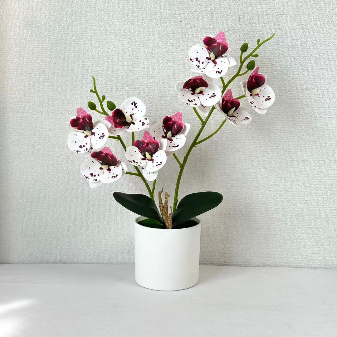Artificial Orchid Flower Arrangement 1790480814 for Home Decor and Display