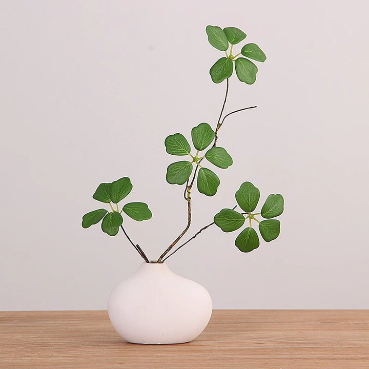 Minimalist Decorative Plant Arrangement