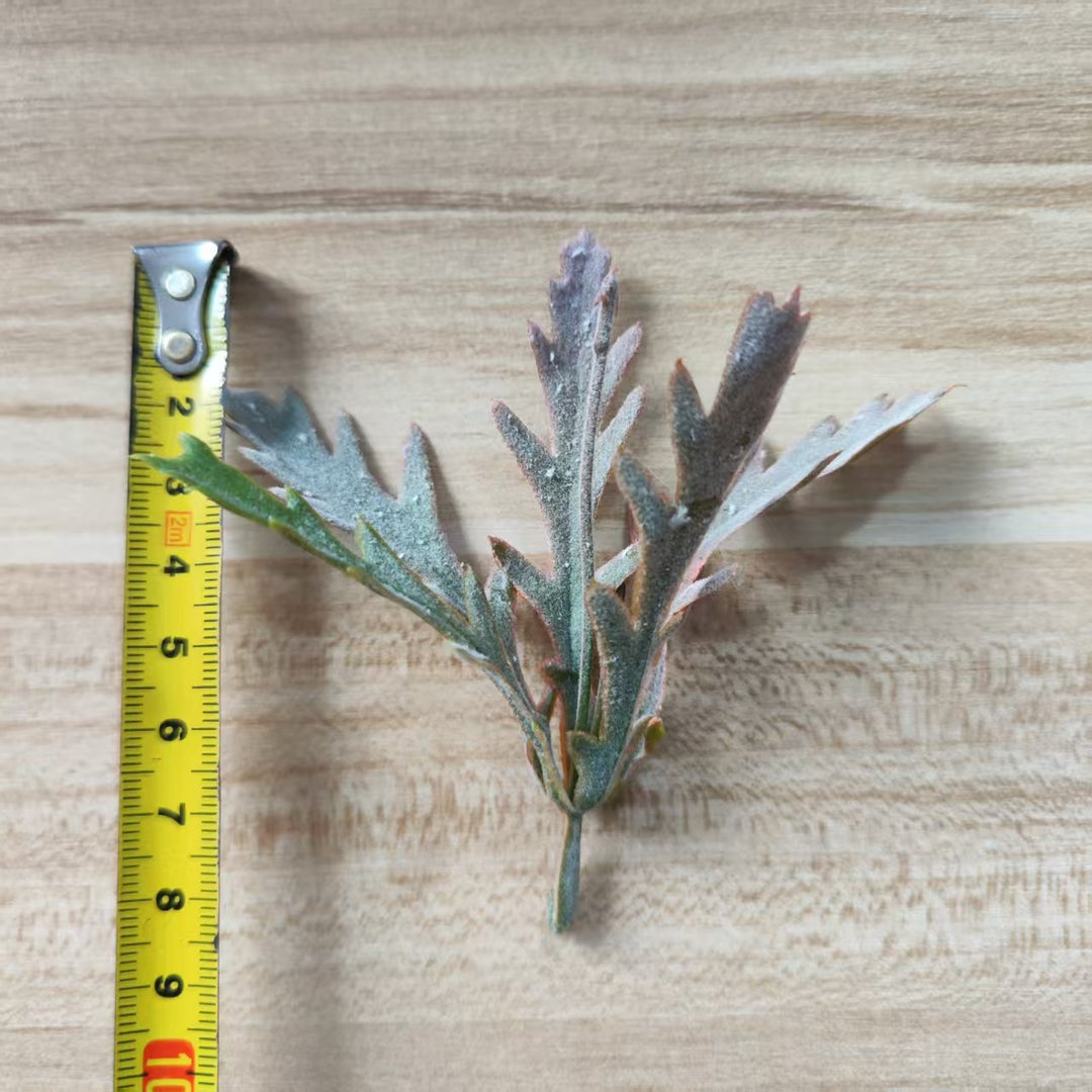 Decorative Green Fern Stem