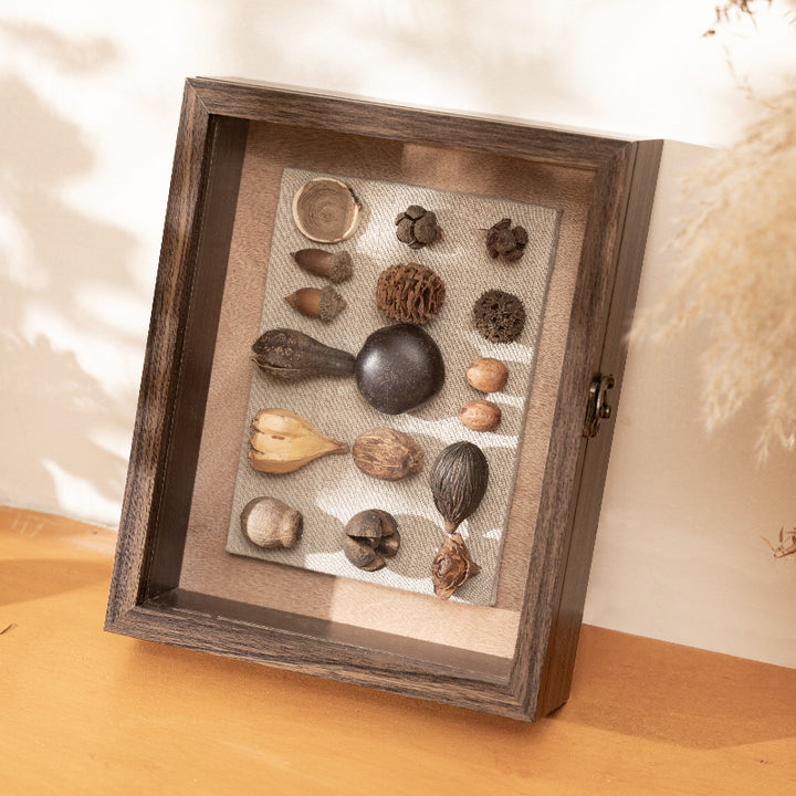 Decorative Nature Collection