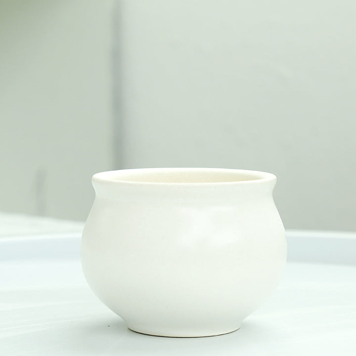 Elegant Decorative Ceramic Stornfeild