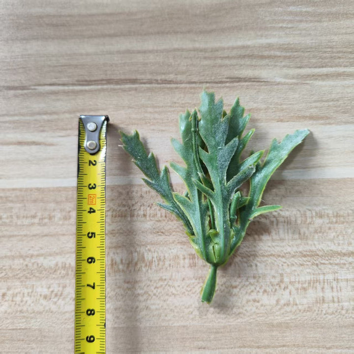 Decorative Green Fern Stem