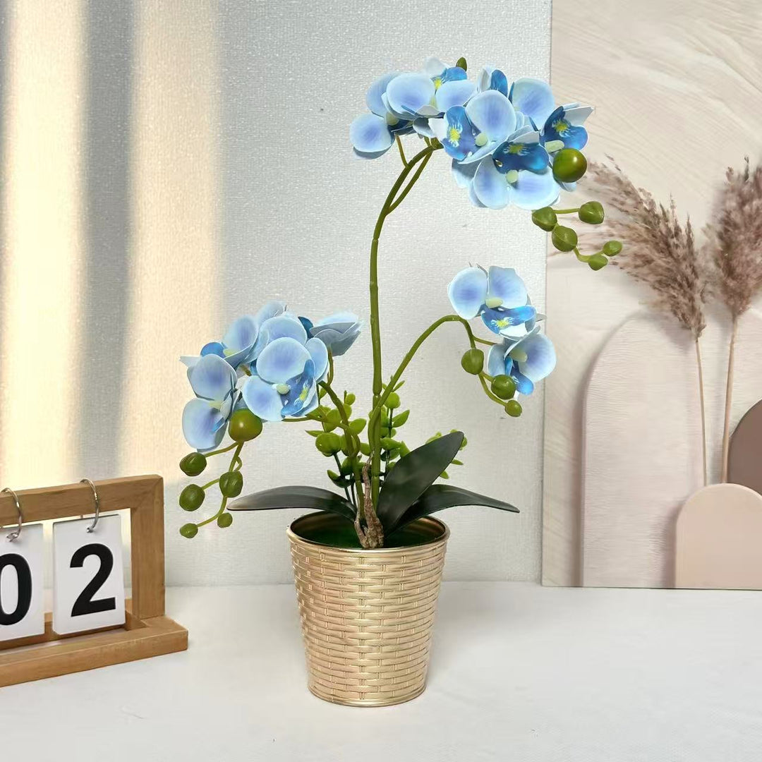 Decorative Orchid Plant for Tabletop Home Decor