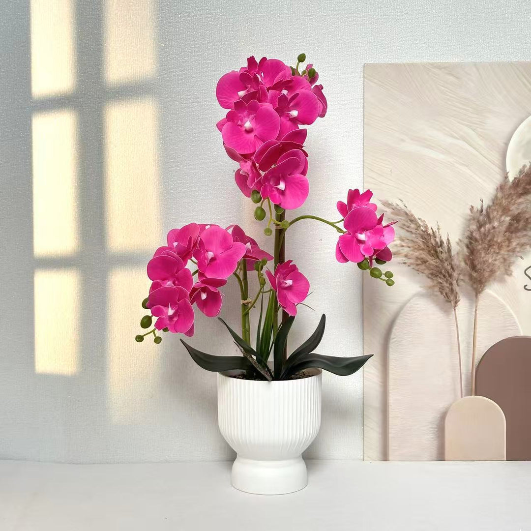 Decorative Orchid Plant Arrangement 1790480695 for Decor